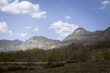Landscape of a green valley at the foot of a rocky mountain
