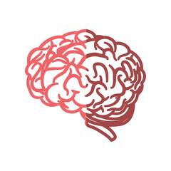 human brain icon over white background. vector illustration