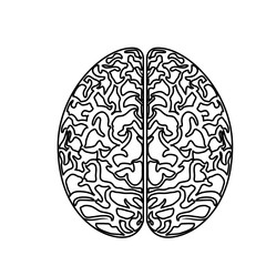 Human brain symbol icon vector illustration graphic design