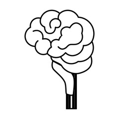 Human brain symbol icon vector illustration graphic design