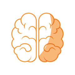 Human brain symbol icon vector illustration graphic design