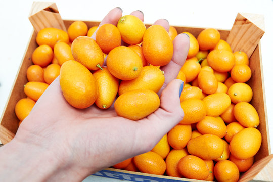 ripe juicy kumquat in female hand on a background of box of fruit © lastfurianec
