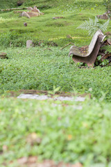 Tranquility in a cemetery.