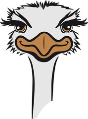 strauss emu hübsch süss