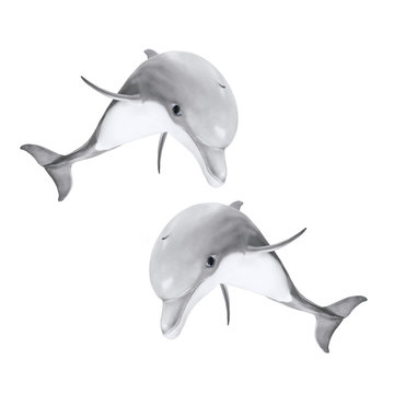 Two jumping Bottlenose Dolphins - Tursiops Truncatus. Sea life isolated on white background. Animal 3D illustration for your happiness.
