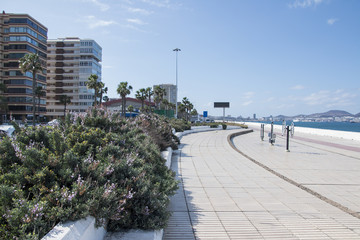 Sunny promenade.