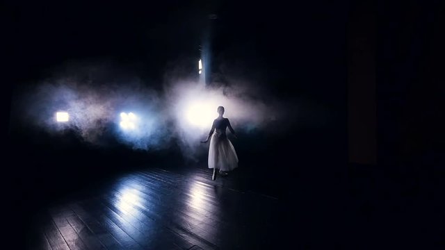 Ballerina dancing in slow motion. Dolly. Silhouette. HD.