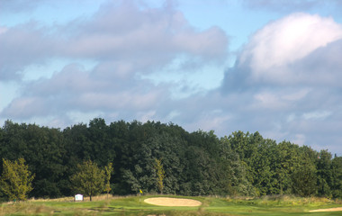 Golf field in the forest