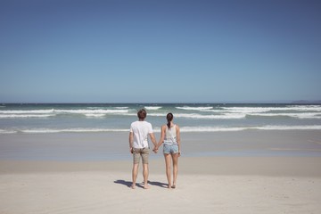 Fototapeta na wymiar Rear view of couple holding hands at beach
