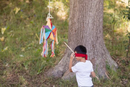 Blindfolded boy hitting pinata in forest