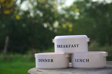 healthy meals 3 times a day packed lunch food container