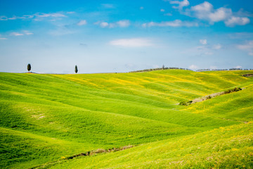 Paysage du Val d'Orcia en Toscane