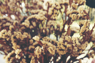 Fototapeta premium dry yellow flower on table in the cafe, vintage filter image
