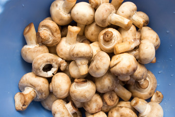 Clean fresh mushrooms in a blue cup