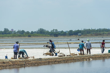 PETCHABURI- MAR 31 : Workers are helping to transport salt from salt field. Ban Laem, Phetchaburi, Thailand on March 31, 2017