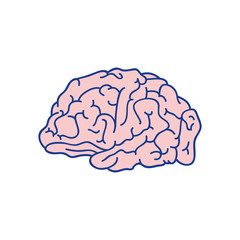 Human brain symbol icon vector illustration graphic design icon vector illustration graphic design