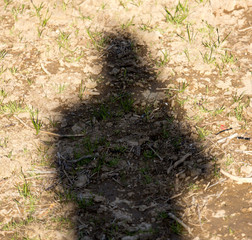 Man's shadow on the ground