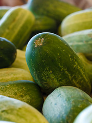 Cucumbers at a Farmers Market