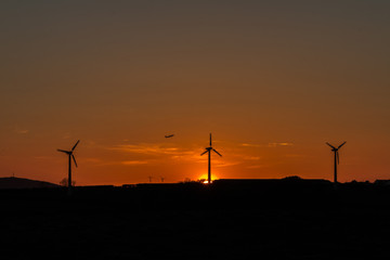 Fototapeta na wymiar Sunset Windmills