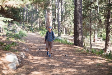 Obraz premium Happy hiker walking trail amidst trees
