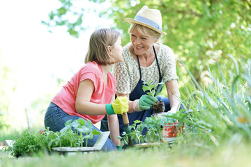 Grandmother and granddaughter gardening together