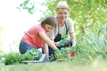 Grandmother and granddaughter gardening together