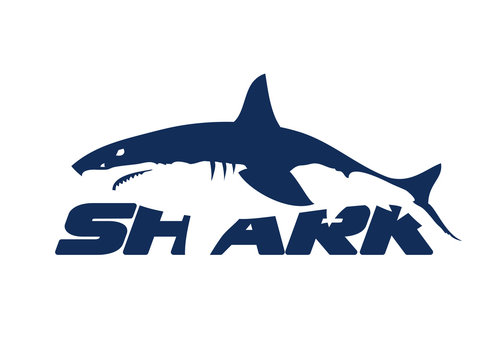 Great white shark logo vector illustration