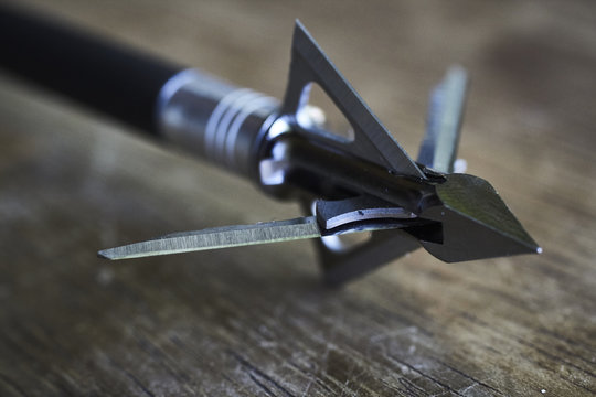 Bowhunting Broadheads