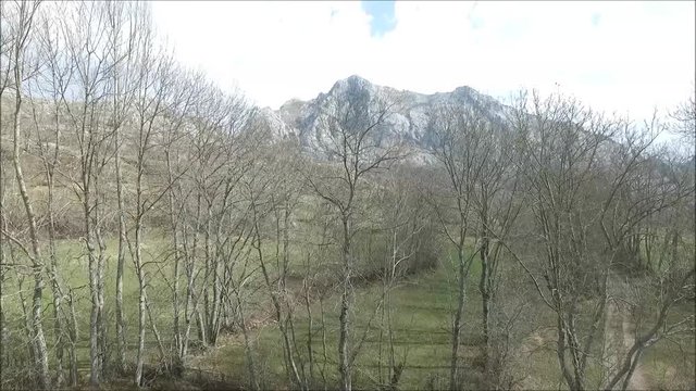Vuelo rasante de dron sobre arboles en el valle de valdetaja