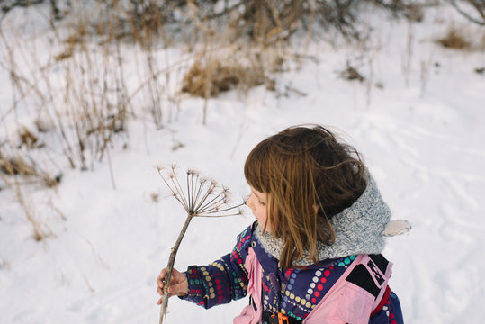 Girl holding dried flower in snow