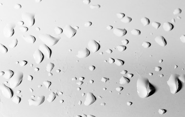 water drops on a white background