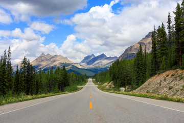 Fototapeta premium Columbia Icefield, Jasper Nationalpark, Canada