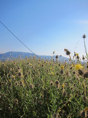 Andalusien-Impressionen