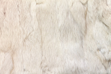 Rabbit fur background