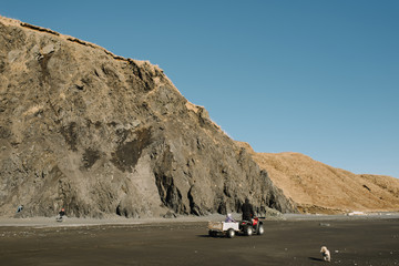 Father and daughter riding in dube buggy on beach