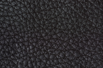 Dark Leather Macro
