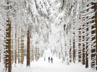 Winter