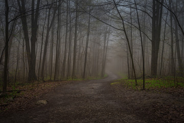 Fog in the Escarpment