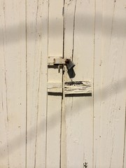 Obraz na płótnie Canvas Lock on a Barn Door
