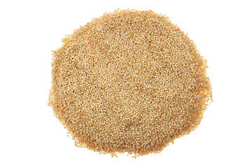 Quinoa Chenopodium quinoa Samen