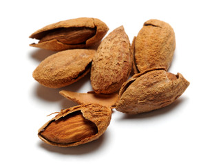 Mènnula Migdały Mandle Mandorla Amandel noot Mandorle plod Almond Αμύγδαλο Almendra