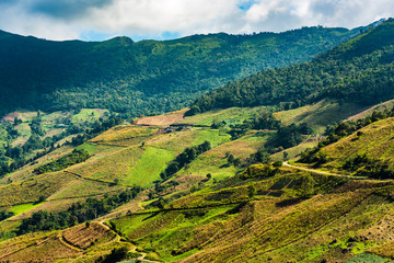 Fototapeta na wymiar Mountains of Northern Thailand