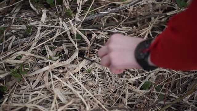 Catch a snake. the snake escape. man tries to catch the snake by the tail but she runs away, escape. Beautiful snake
