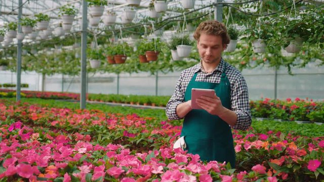 Attractive farmer using tablet for searching some information about flowers in a greenhouse. Close up.