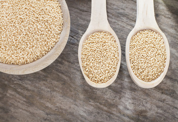 Amaranthus seeds on the wooden table - Amaranthus