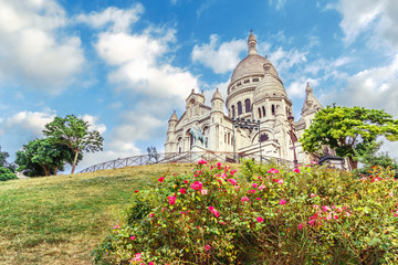 Basilique du Sacré Cœur, Basilica Sacre Coeur, famous European  travel destination, Montmartre area, favorite place of artists , Paris. Rose bush at foreground, dramatic blue sky, day scene.