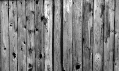 cedar fence