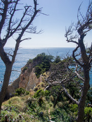 西伊豆黄金崎の風景