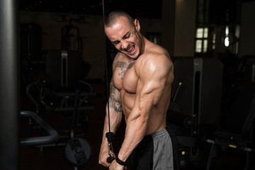 Obraz na płótnie Canvas Bodybuilder Exercising Triceps On Machine