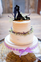 Obraz na płótnie Canvas Corgi Wedding Cake Topper